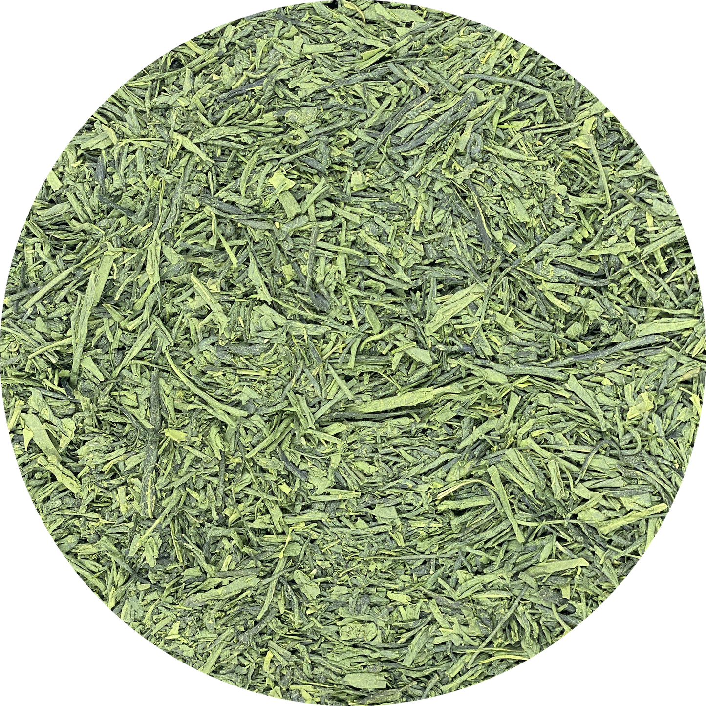 Matcha Sencha (Green Tea)