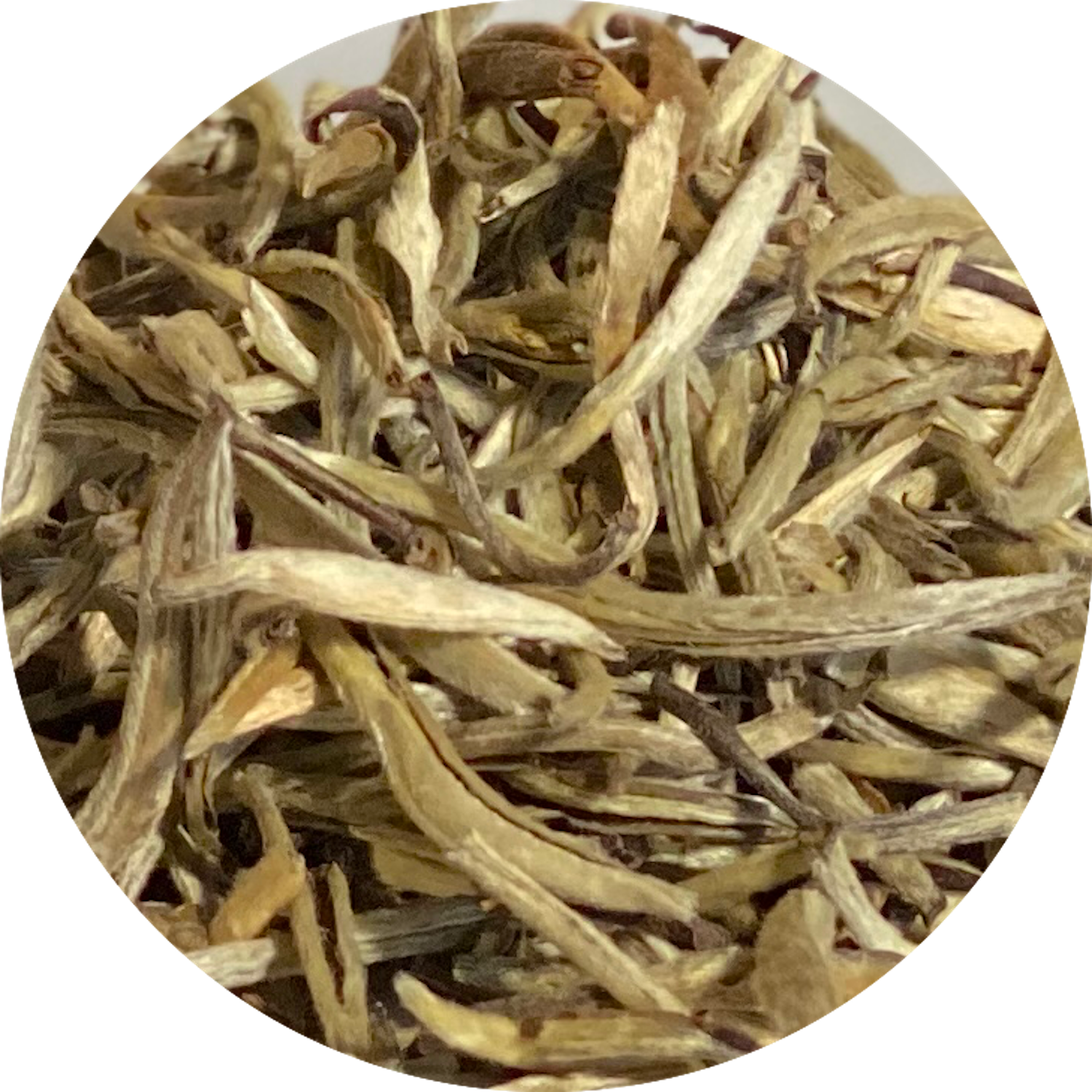 White Silver Needle Tea