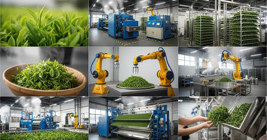 7 Innovations in Tea Processing Changing Your Experience