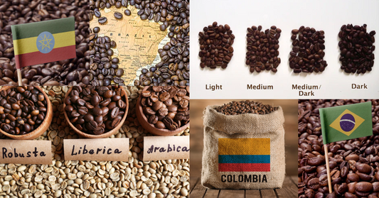 Coffee Bean Reviews and Comparisons: Your Ultimate Guide