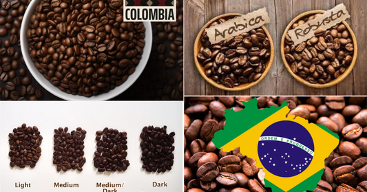 Coffee Buying Guide: Choosing the Best Coffee Beans