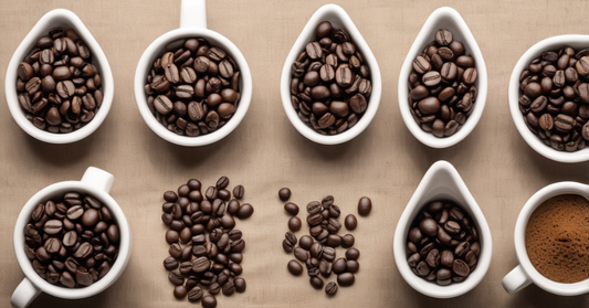 Different Coffee Roasts and All You Need to Know About Them