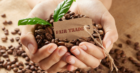 Organic and Fair Trade Coffee Beans: A Comprehensive Guide