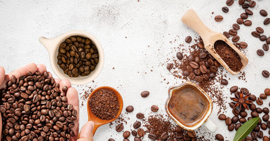 Types of Coffee Beans - All You Should Know About Them