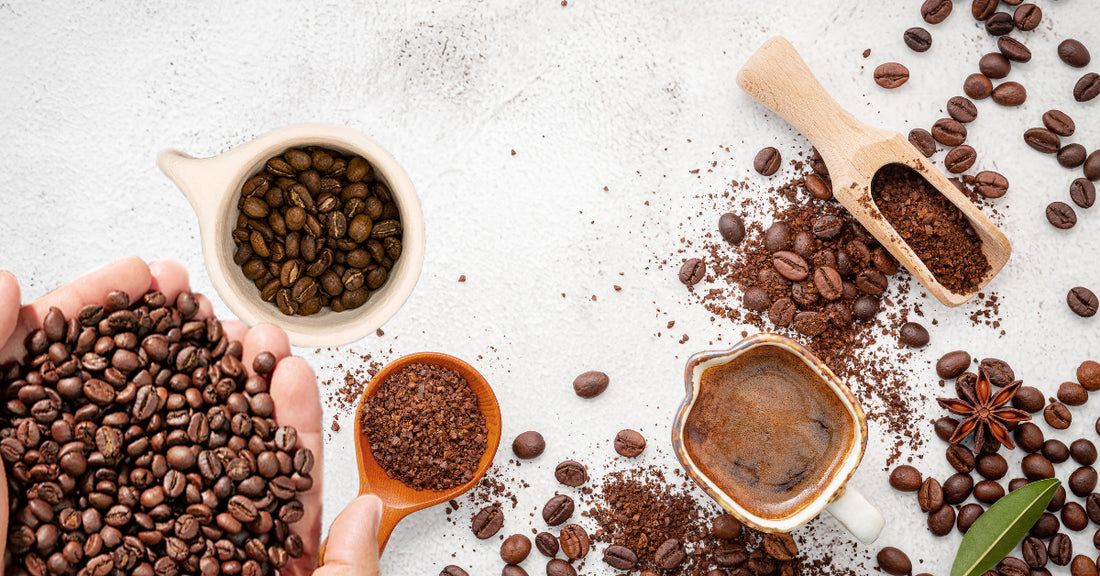 Types of Coffee Beans - All You Should Know About Them