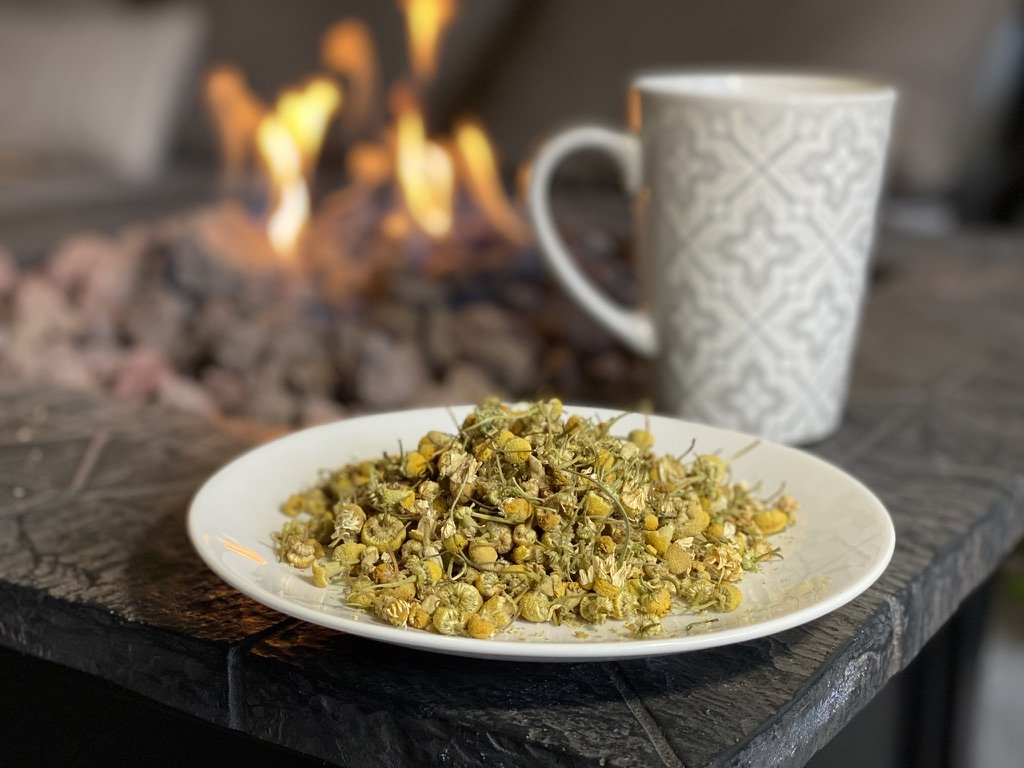 Egyptian Chamomile (Herbal Tea) - The Backyard