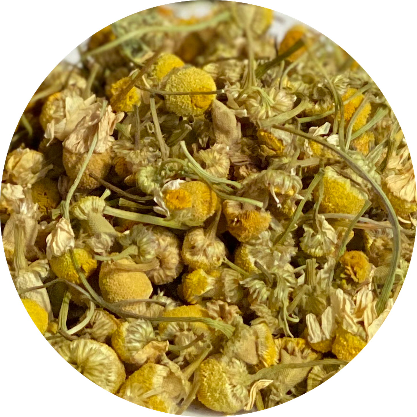 Egyptian Chamomile (Herbal Tea)